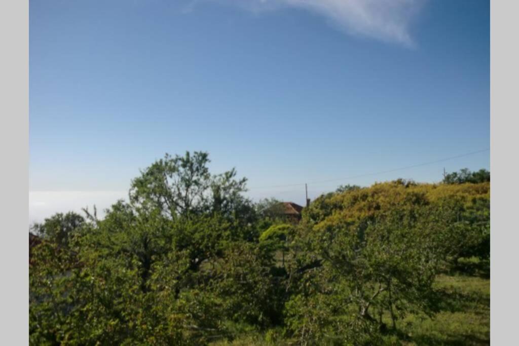 Casas Corea Puntagorda Zewnętrze zdjęcie